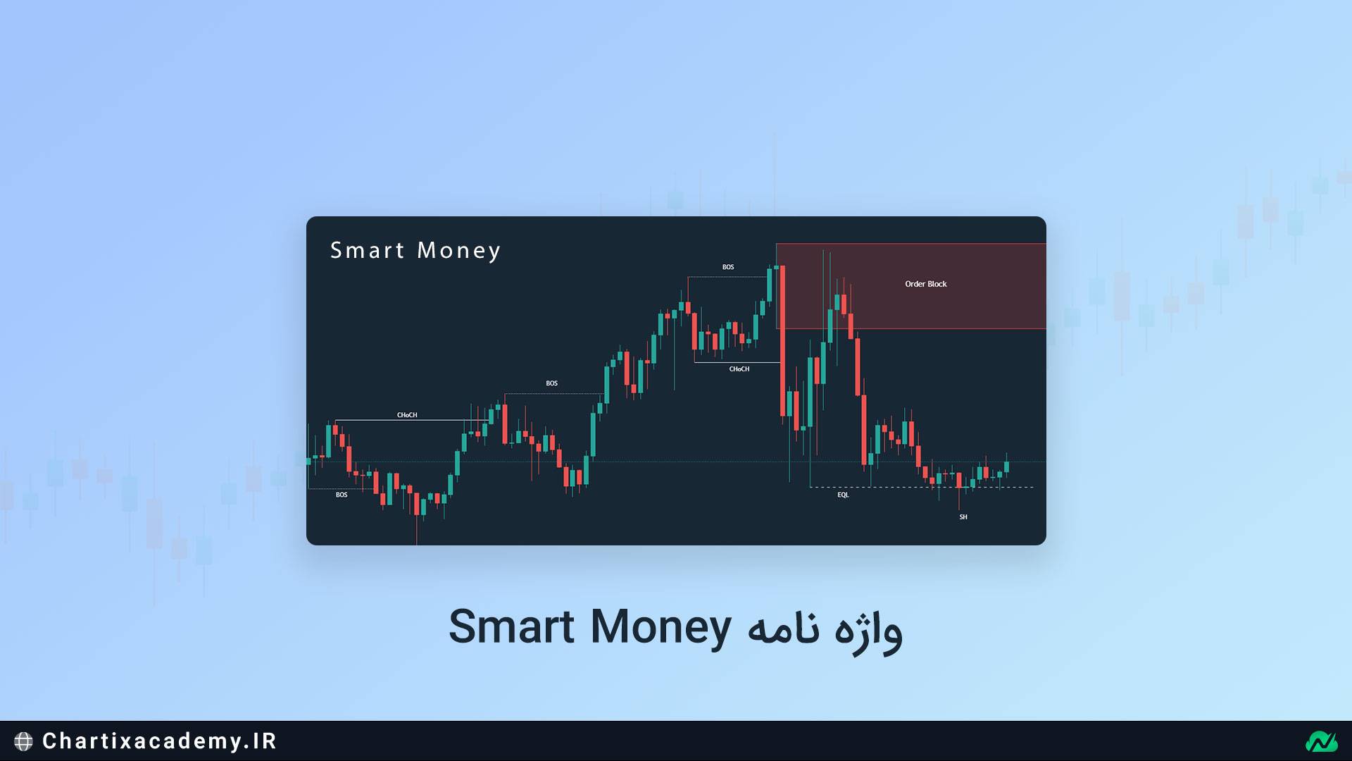 واژه نامه Smart Money